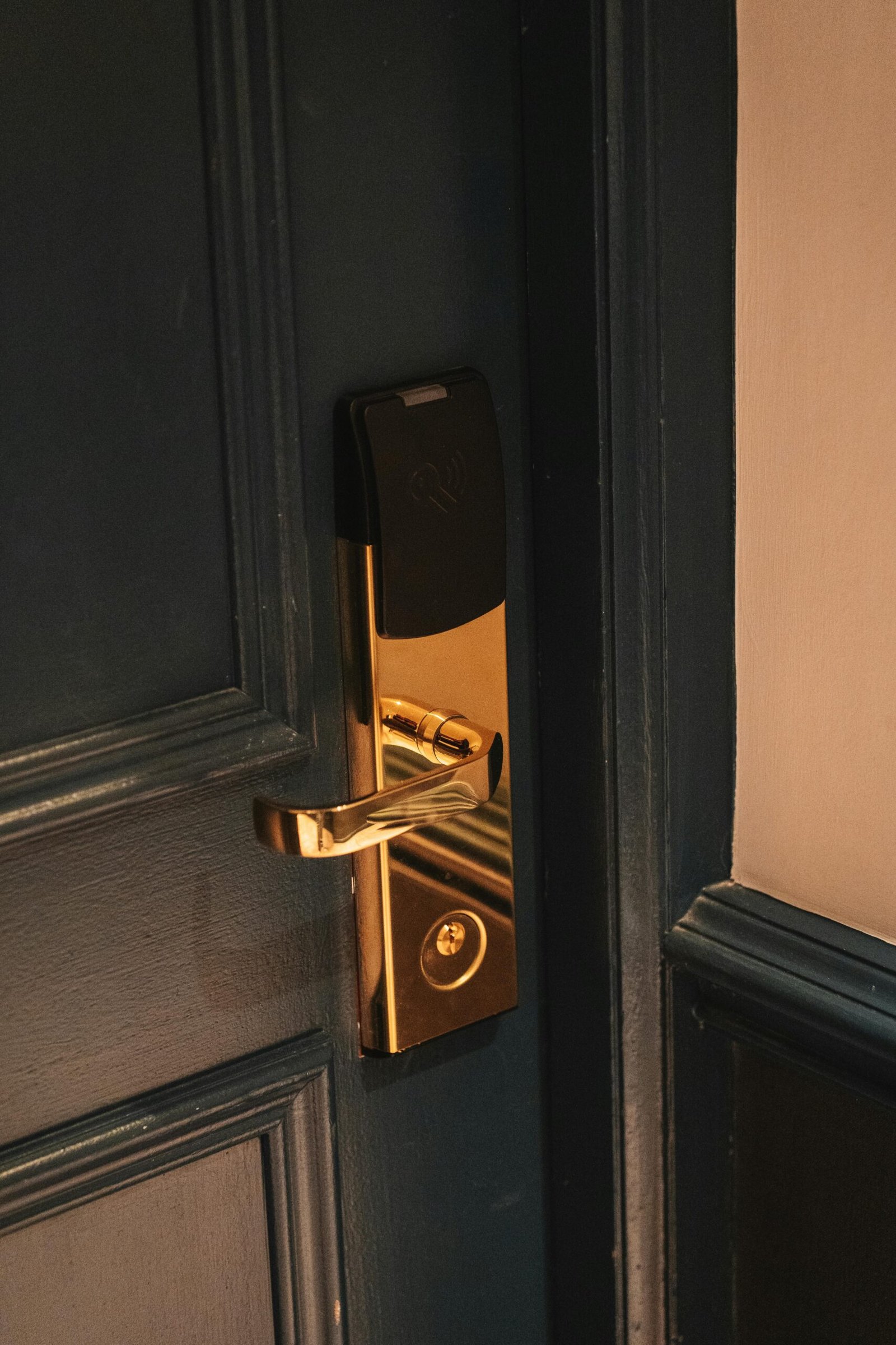 Elegant brass handle and lock on a wooden door with soft lighting.